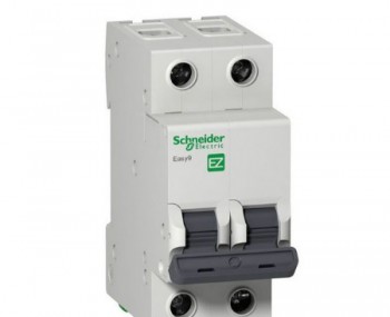 MCB-Schneider-Easy9-2P_3.jpg