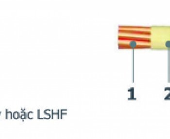 capchongchay1loikhongcogiapbaove.jpg