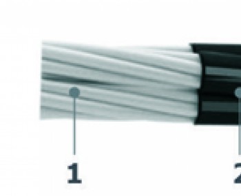capdien1loinhomkhongcogiapbaove061kv.jpg