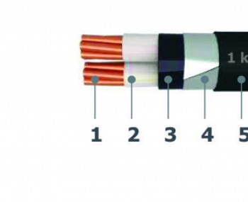 capdienke2loicapmuyle061kv.jpg
