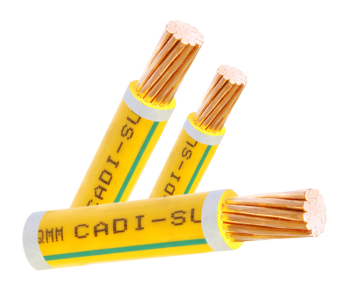 capdongdonboccv1x.png