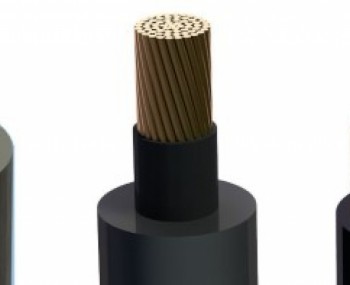 captrungthetreo.jpg