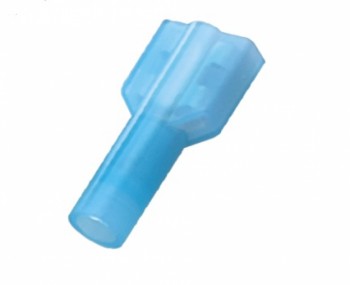 daucotcaibocnylon.jpg