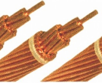 daydongtranxoan.jpg
